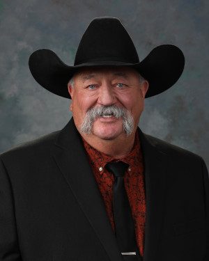 Jack Chatfield profile photo
