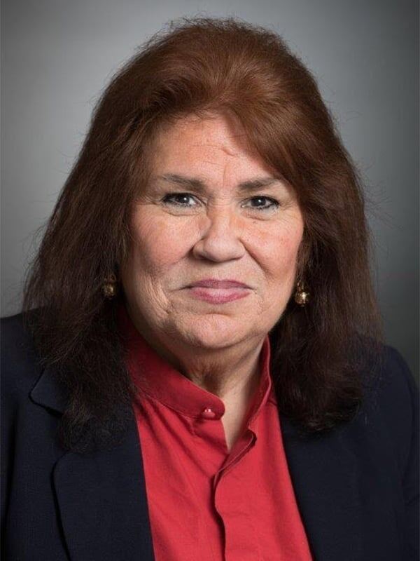 Terry Meza profile photo
